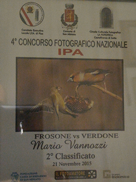 Quarto Concorso nazionale IPA