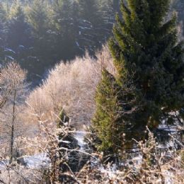 Appennino 3
