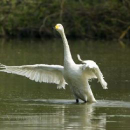 Preparativi per il volo